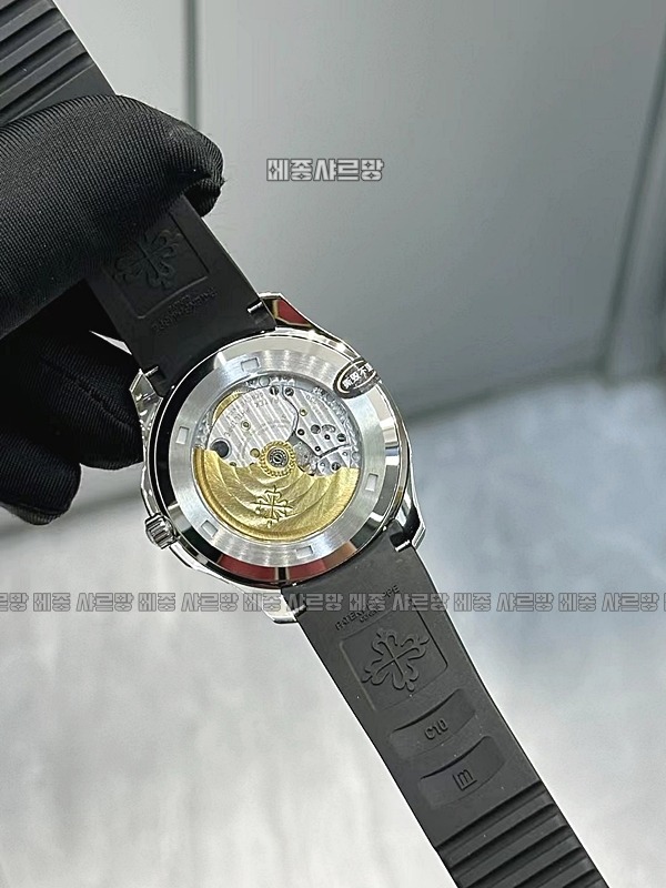 파텍필립아쿠아넛20240607-172416-008메종샤르망.JPG