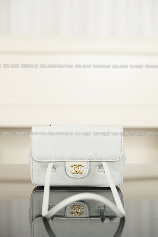 샤넬26P마나푸레바코코빈티지  20260418-160650-003.jpg