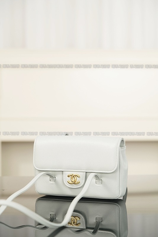 샤넬26P마나푸레바코코빈티지  20260418-160650-005.jpg