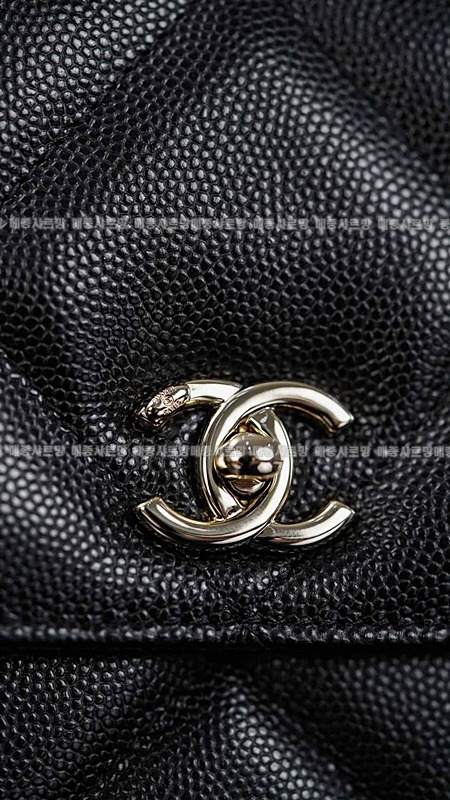 샤넬탑핸들WOC백팩  20260421-142154-021.jpg