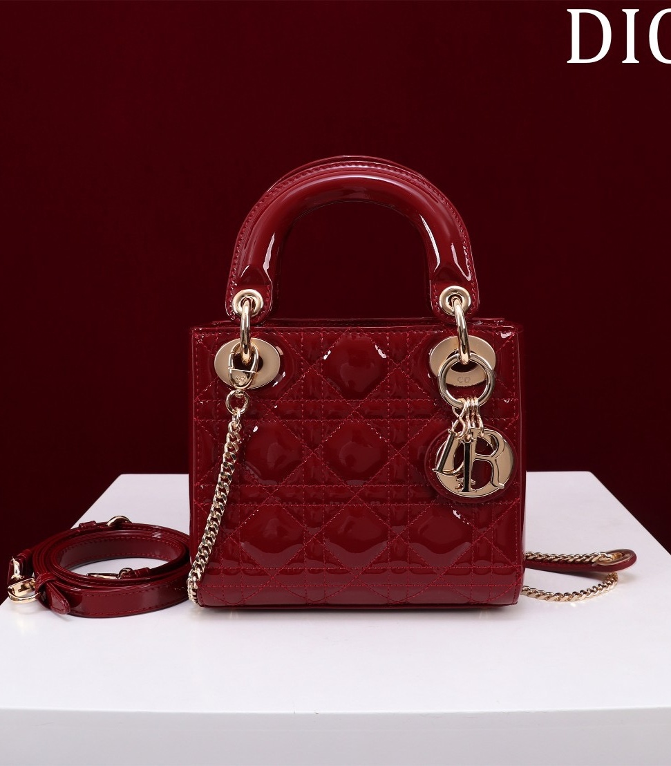 레이디 디올 미니 백