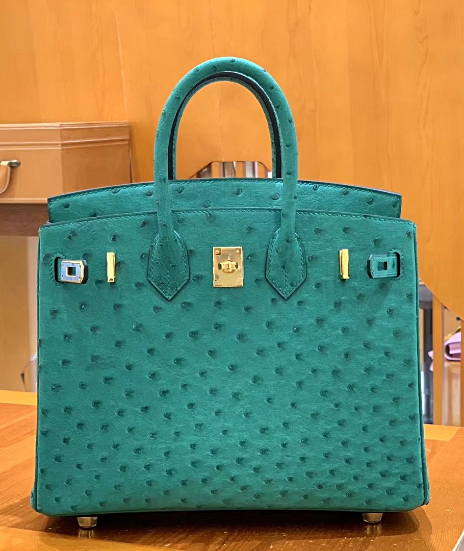 에르메스 버킨25 오스트리치