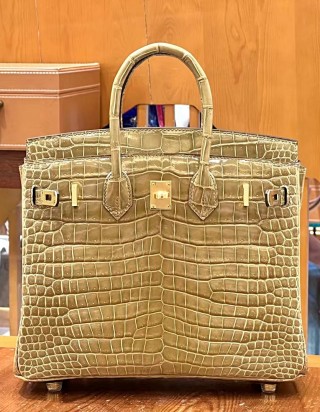 에르메스 버킨25 악어