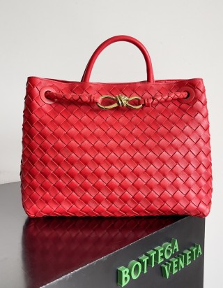 보테가 베네타 안디아모 미디움