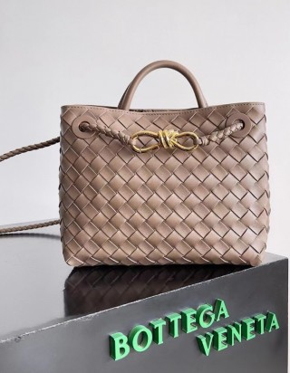 보테가 베네타 안디아모 스몰