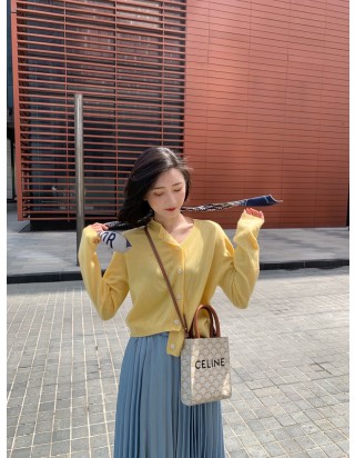 셀린느 트리옹프 스몰 버티컬 카바스 백