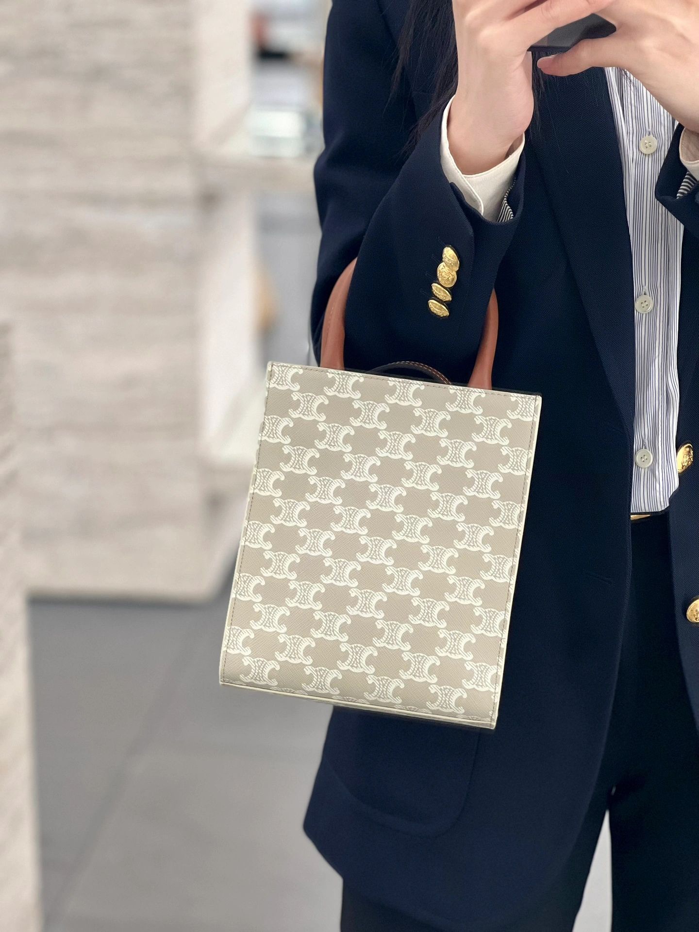 셀린느 버티컬 카바스 미니