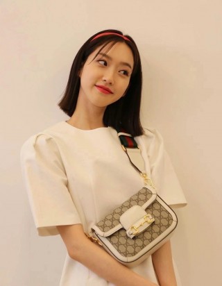 구찌 홀스빗 1995 미니 백