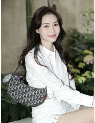 디올 오블리크 자카드 라운지 체인 호보백