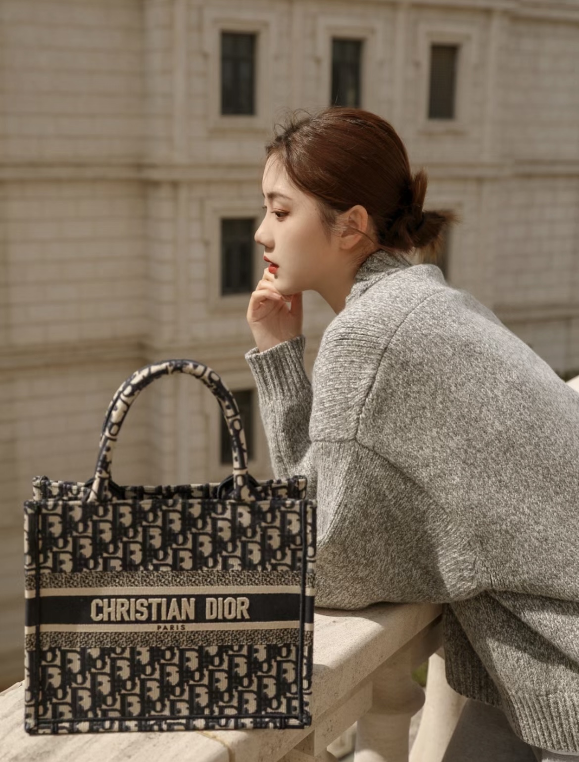 디올 북 토트 백 스몰