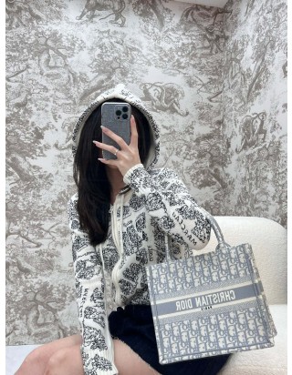 디올 북 토트 백 스몰