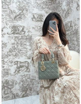 디올 레이디 스몰 백