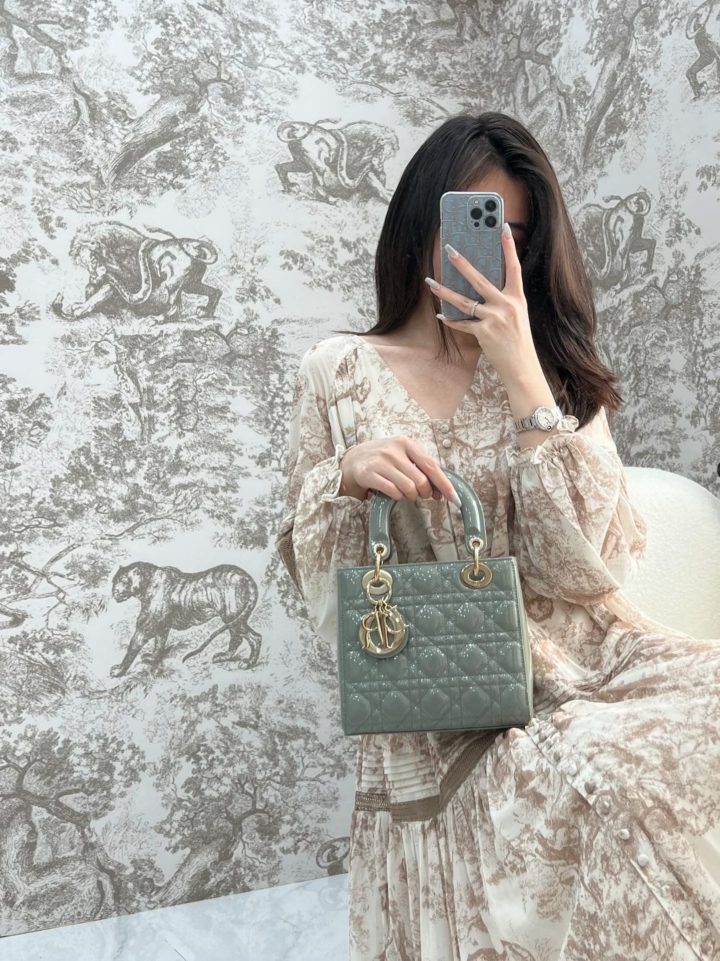 디올 레이디 스몰 백