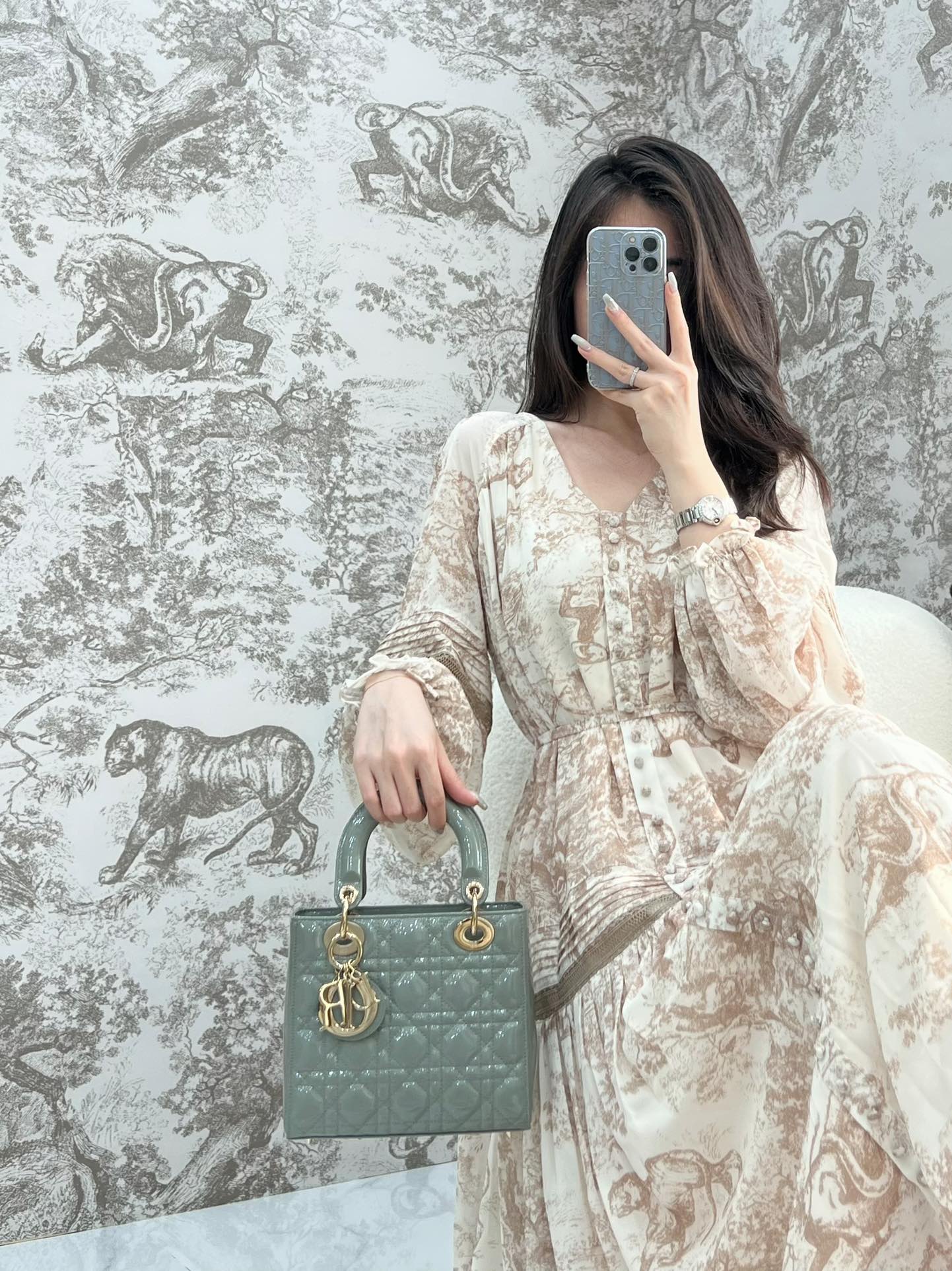 디올 레이디 스몰 백