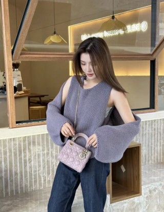 디올 레이디 미니 백