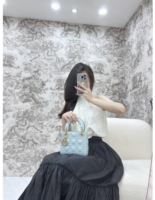 디올 레이디 미니 백