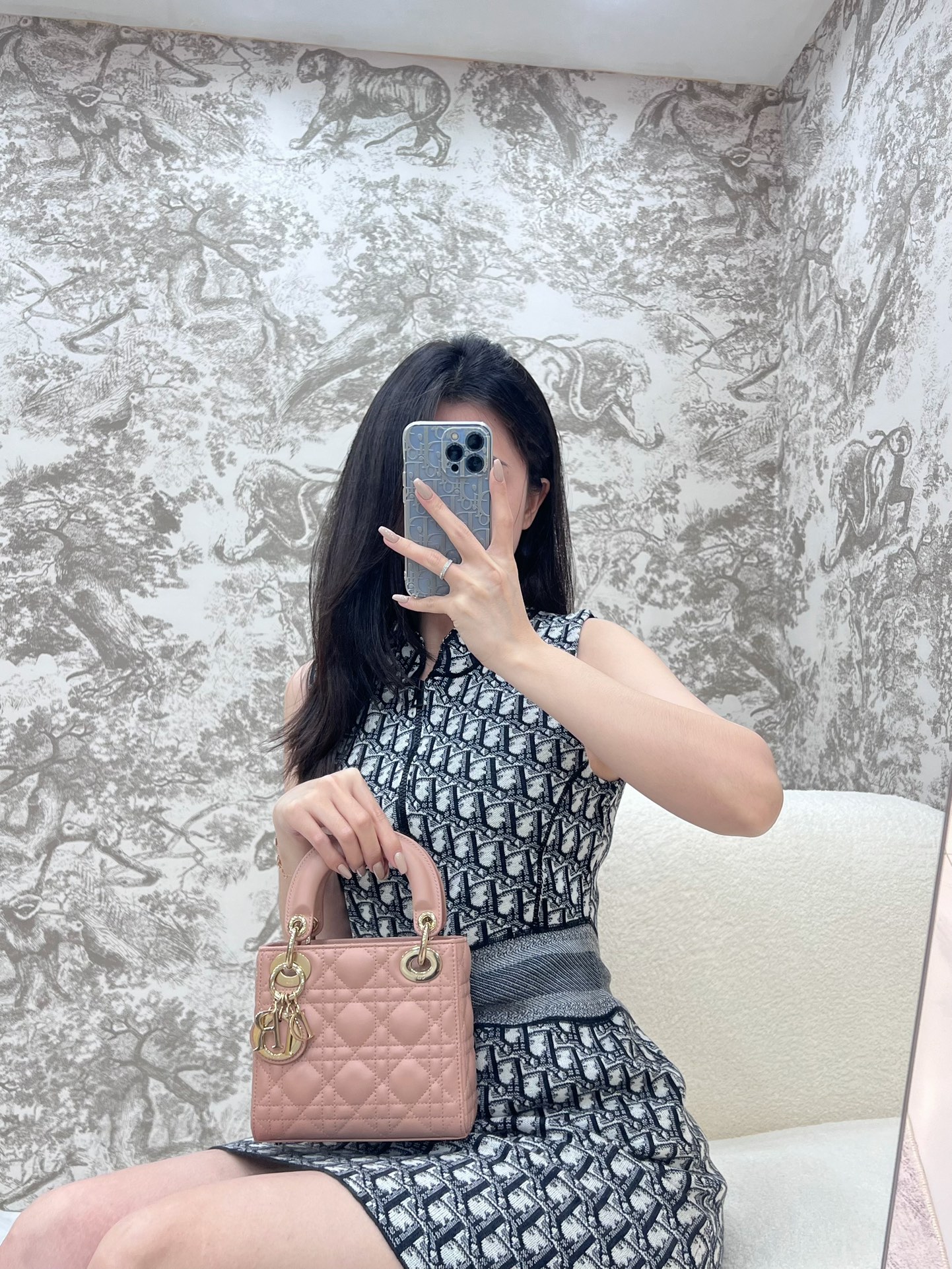 디올 레이디 미니 백