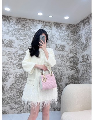 디올 레이디 스몰 백