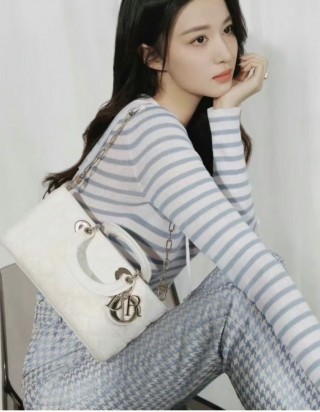 디올 레이디 디 조이 미디움 백