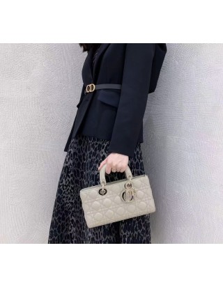 디올 레이디 미디움 백