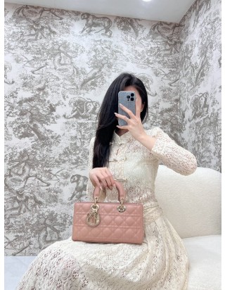 디올 레이디 디 조이 미디움 백