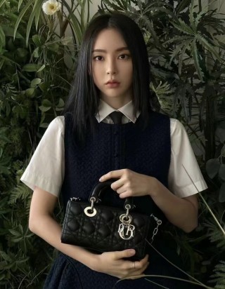 디올 레이디 디 조이 백 스몰 백