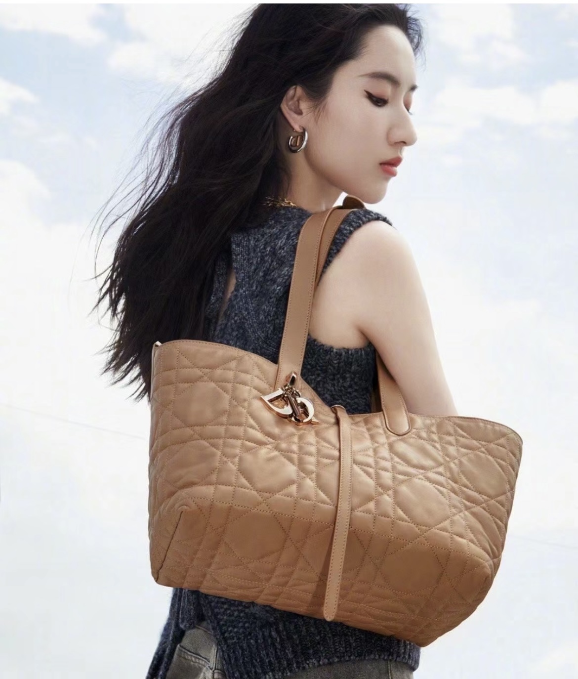 디올 뚜주흐 토트백 미디움