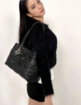 디올 뚜주흐 토트백 미디움