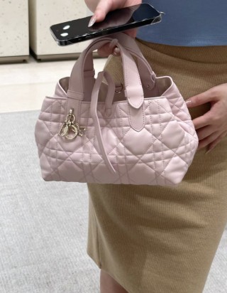 디올 뚜주흐 토트백 스몰