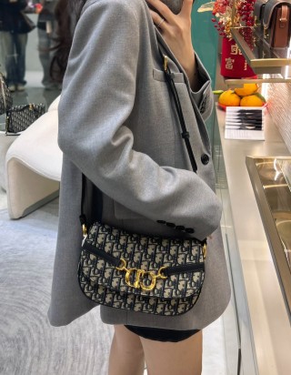 디올 CD 베사체 백 스몰