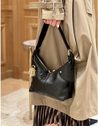 디올 보야주 백