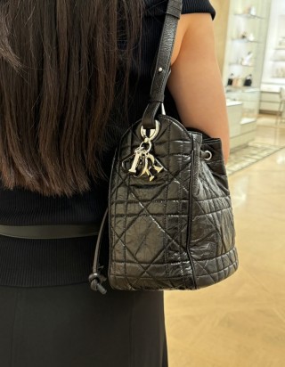 디올 디 모션 백 스몰