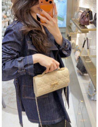 마이 디올 미니 백