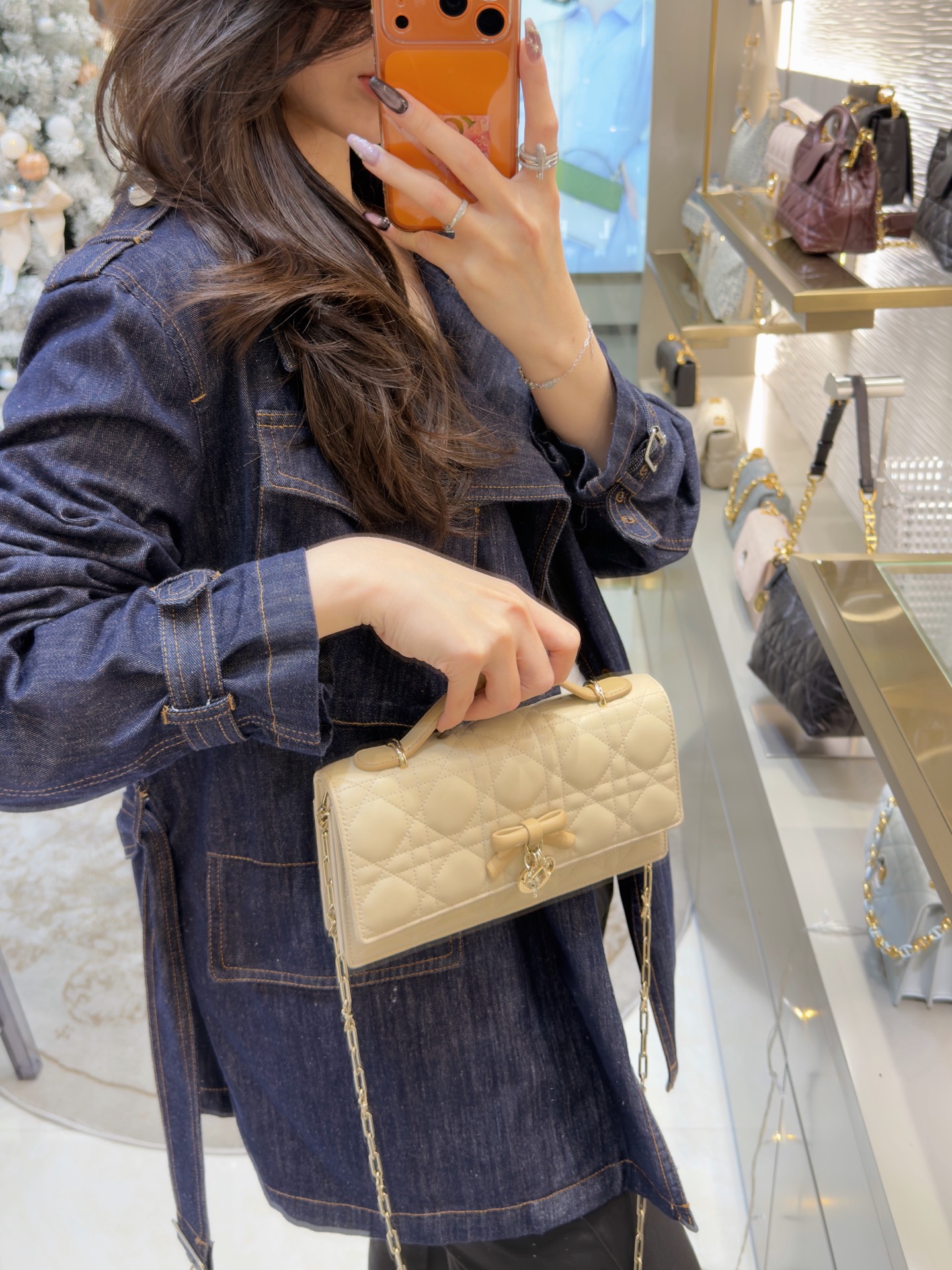 마이 디올 미니 백