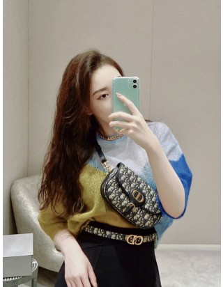 디올 바비 이스트 웨스트 백