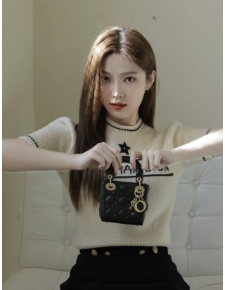 레이디 디올 마이크로