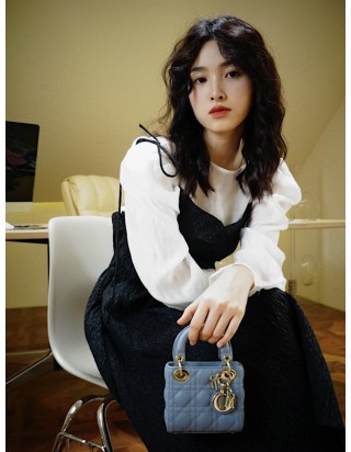 레이디 디올 마이크로