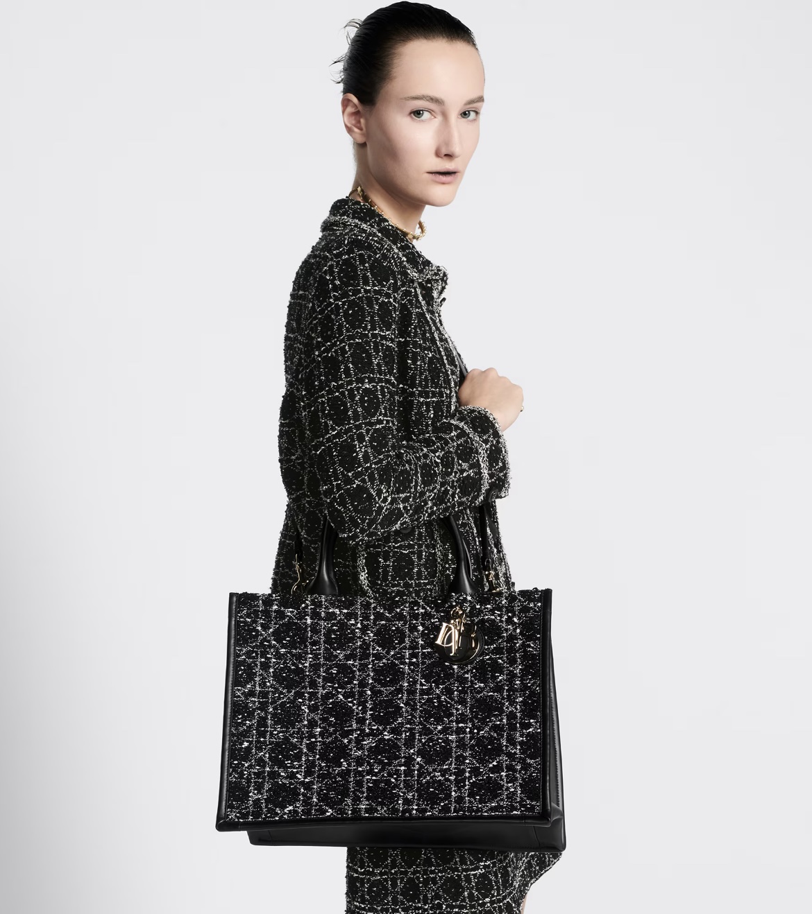 디올 북 토트백 미디움