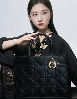 디올 북 토트백 미디움