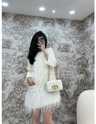 디올 카로 스몰 백