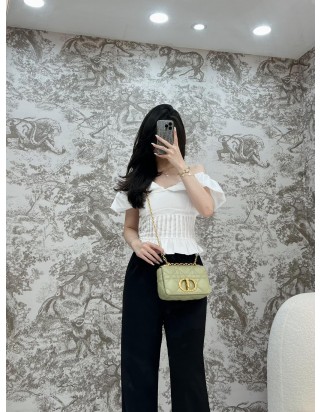 디올 카로 스몰 백