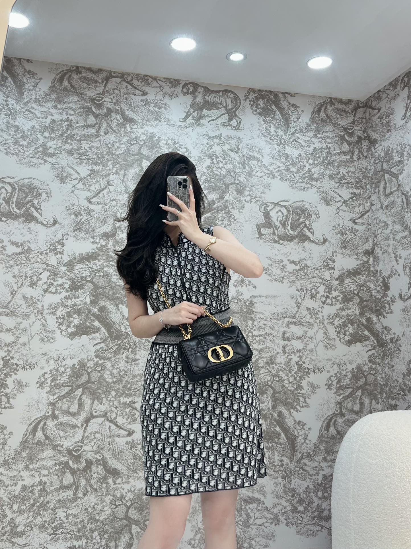 디올 카로 스몰 백