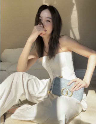 디올 카로 스몰 백