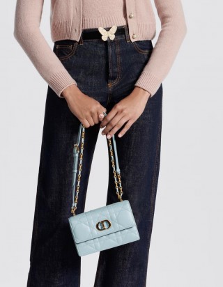 디올 미스 카로 스몰백