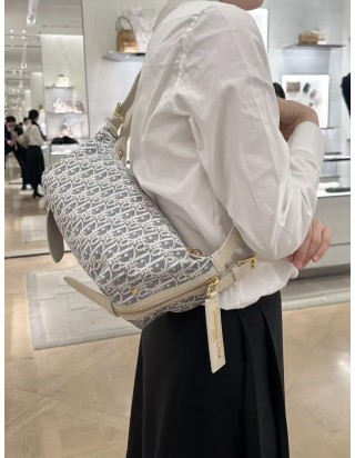 디올 디저니 스몰 백