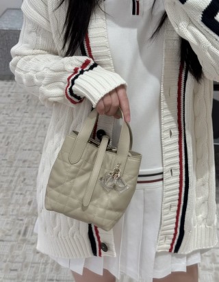 디올 뚜주흐 미니 버티컬 토트 백