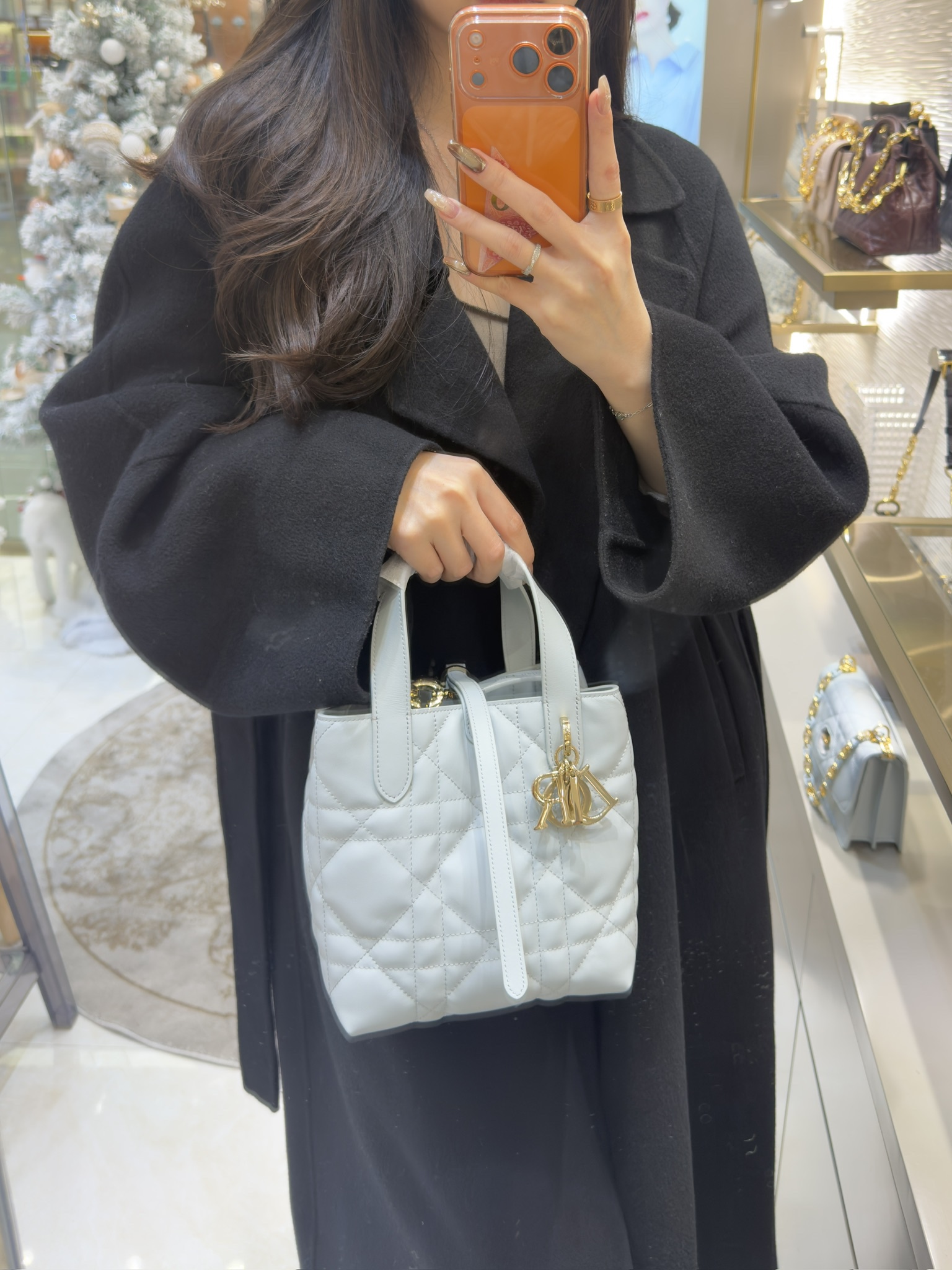 디올 뚜주흐 스몰 버티컬 토트 백