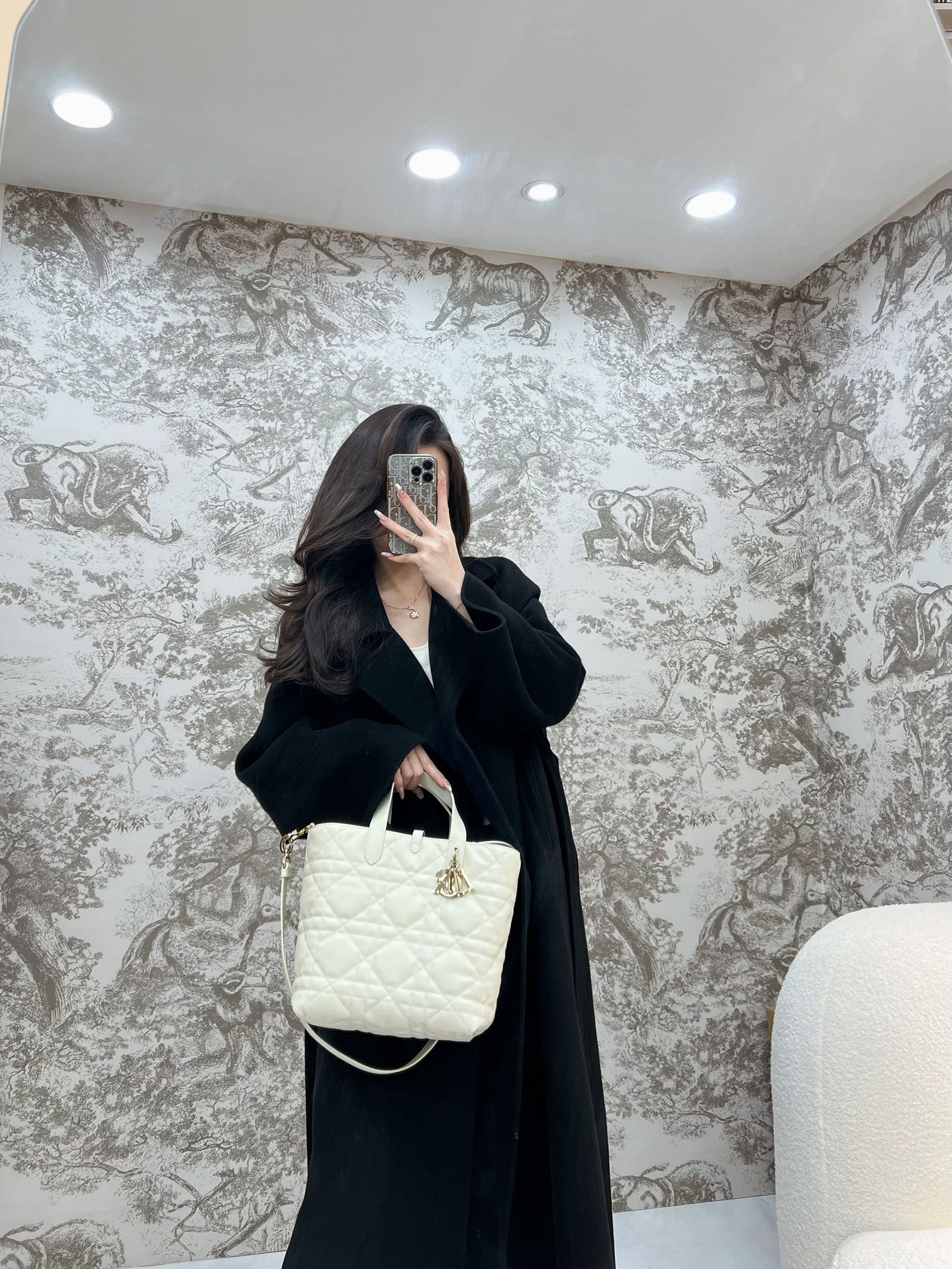 디올 뚜주흐 미디움 버티컬 토트 백