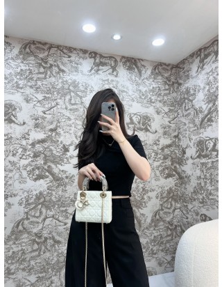 레이디 디올 백 미니