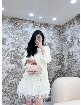 마이 디올 미니백